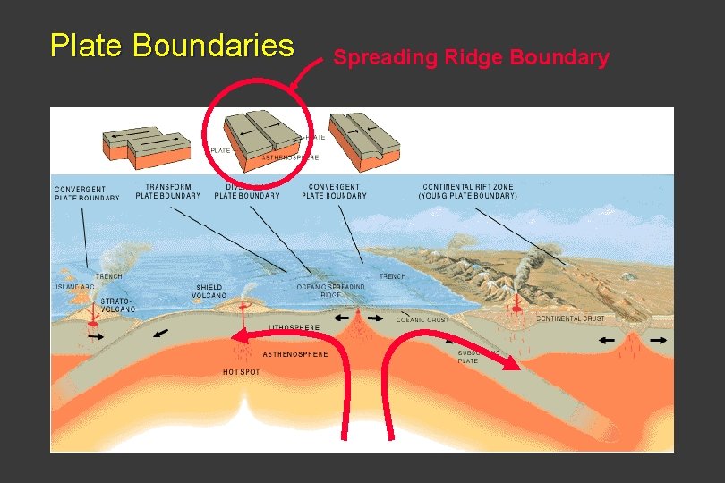 Plate Boundaries Spreading Ridge Boundary 