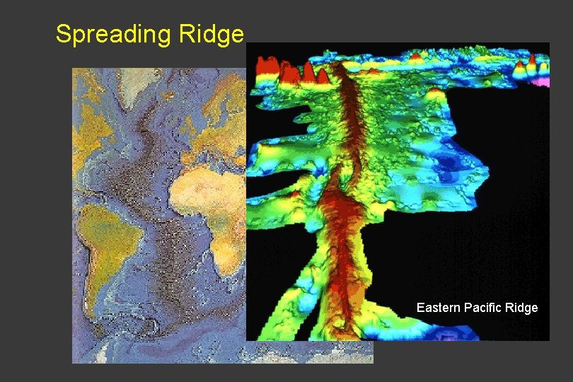 Spreading Ridge Eastern Pacific Ridge 