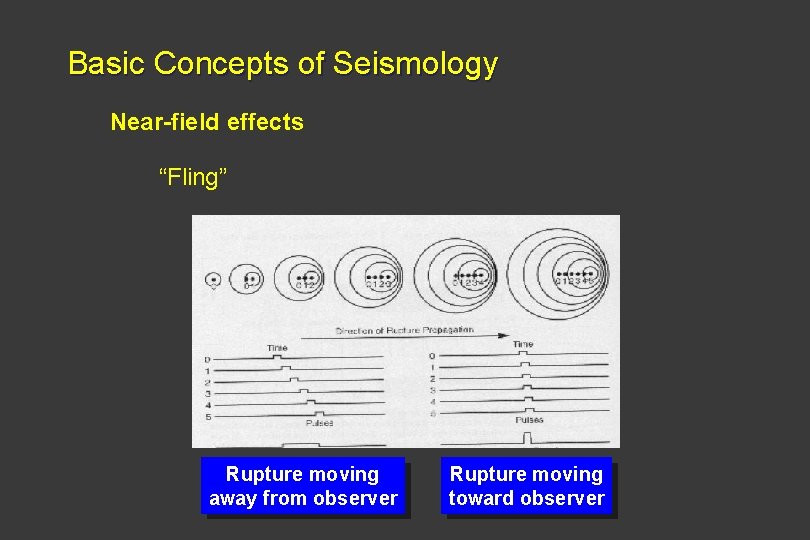 Basic Concepts of Seismology Near-field effects “Fling” Rupture moving away from observer Rupture moving