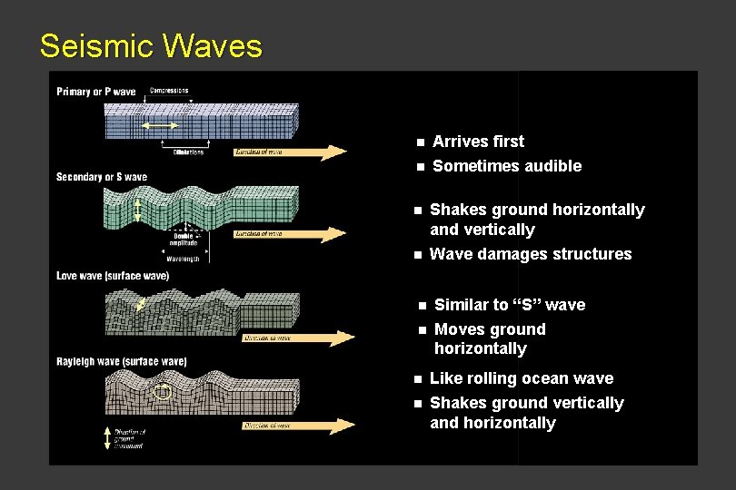 Seismic Waves n Arrives first n Sometimes audible n Shakes ground horizontally and vertically