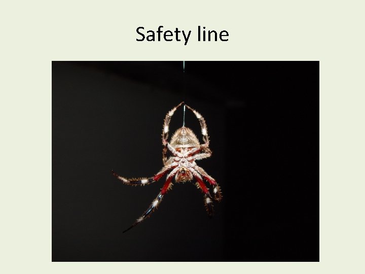 Safety line 