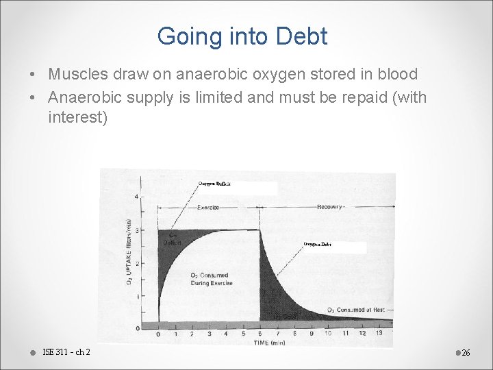 Going into Debt • Muscles draw on anaerobic oxygen stored in blood • Anaerobic