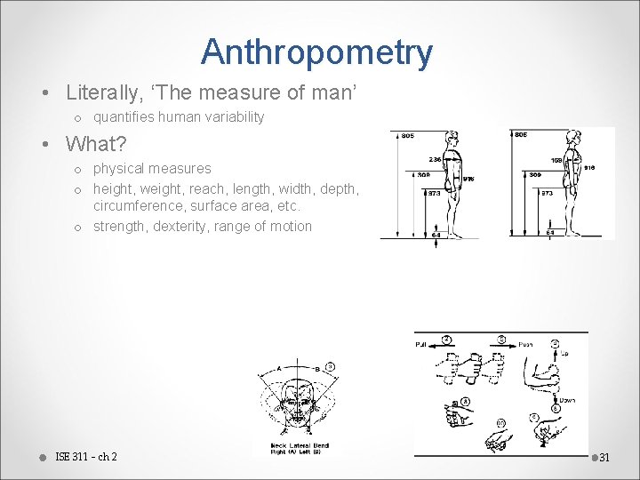 Anthropometry • Literally, ‘The measure of man’ o quantifies human variability • What? o