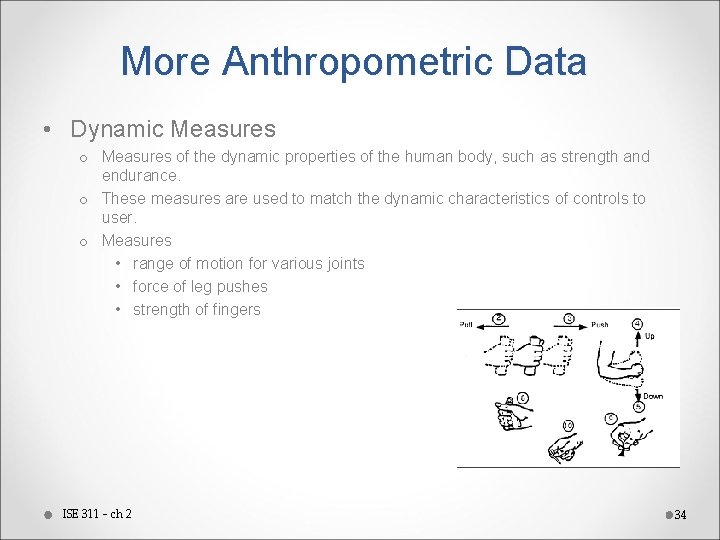 More Anthropometric Data • Dynamic Measures of the dynamic properties of the human body,