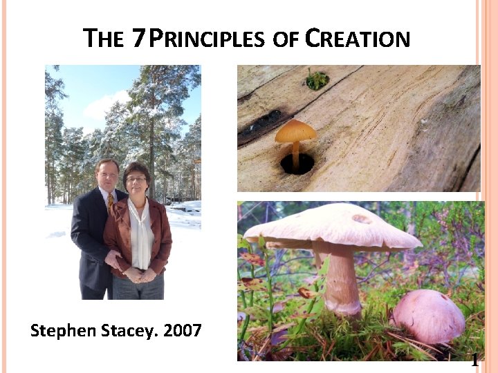 THE 7 PRINCIPLES OF CREATION Stephen Stacey. 2007 1 