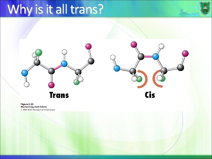 Why is it all trans? 