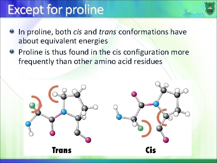 Except for proline In proline, both cis and trans conformations have about equivalent energies
