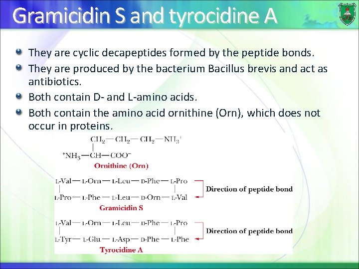 Gramicidin S and tyrocidine A They are cyclic decapeptides formed by the peptide bonds.