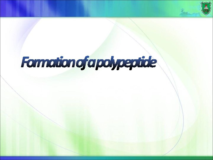 Formationofapolypeptide 