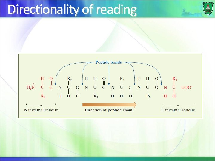Directionality of reading 