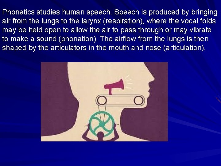 Phonetics studies human speech. Speech is produced by bringing air from the lungs to