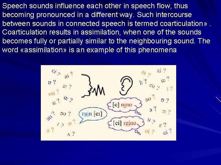 Speech sounds influence each other in speech flow, thus becoming pronounced in a different