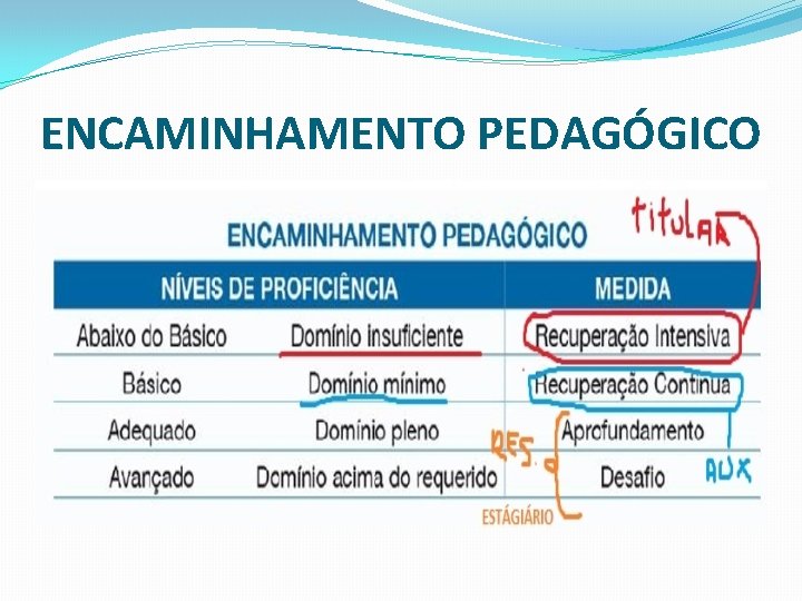 ENCAMINHAMENTO PEDAGÓGICO 