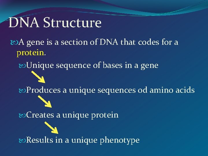 DNA Structure A gene is a section of DNA that codes for a protein.