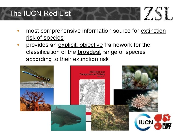 The IUCN Red List • • most comprehensive information source for extinction risk of The IUCN Red List • • most comprehensive information source for extinction risk of