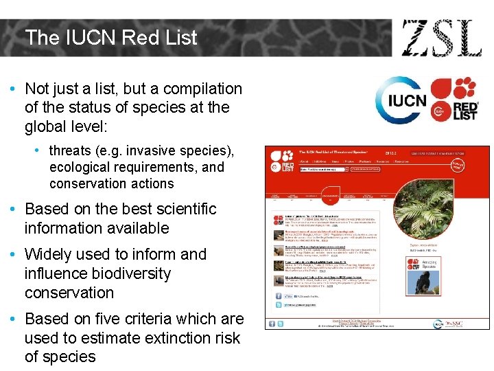 The IUCN Red List • Not just a list, but a compilation of the The IUCN Red List • Not just a list, but a compilation of the