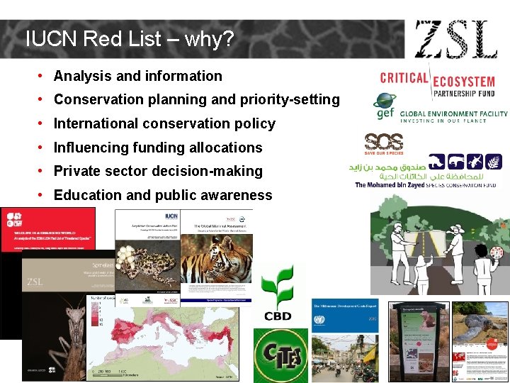 IUCN Red List – why? • Analysis and information • Conservation planning and priority-setting IUCN Red List – why? • Analysis and information • Conservation planning and priority-setting