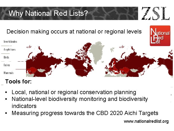 Why National Red Lists? Decision making occurs at national or regional levels Tools for: Why National Red Lists? Decision making occurs at national or regional levels Tools for: