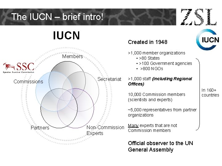 The IUCN – brief intro! IUCN Created in 1948 >1, 000 member organizations • The IUCN – brief intro! IUCN Created in 1948 >1, 000 member organizations •