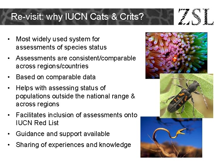 Re-visit: why IUCN Cats & Crits? • Most widely used system for assessments of Re-visit: why IUCN Cats & Crits? • Most widely used system for assessments of