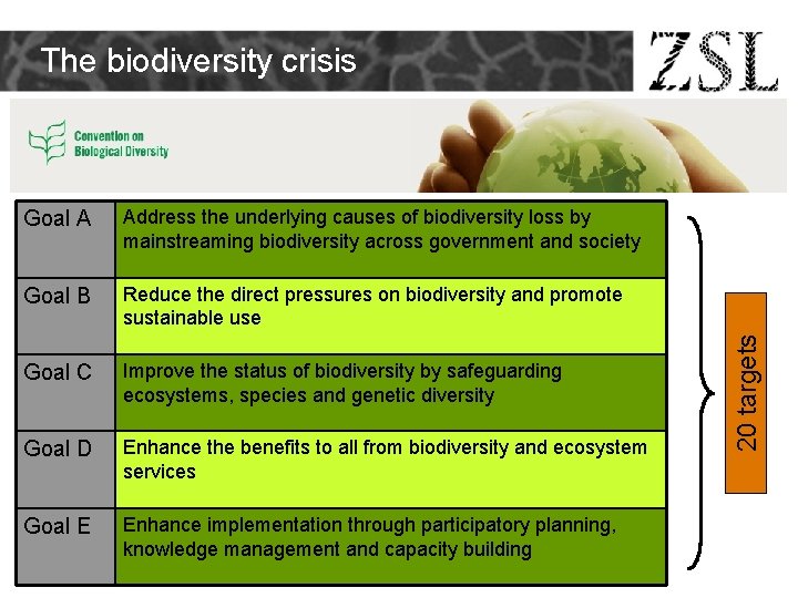 Goal A Address the underlying causes of biodiversity loss by mainstreaming biodiversity across government Goal A Address the underlying causes of biodiversity loss by mainstreaming biodiversity across government