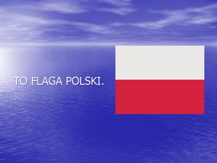 TO FLAGA POLSKI. 