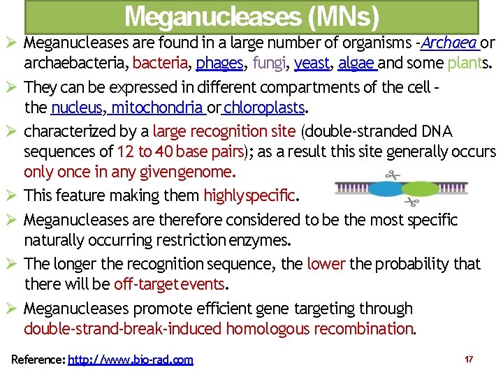 Meganucleases (MNs) Meganucleases are found in a large number of organisms ‐Archaea or archaebacteria,