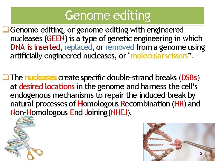 Genome editing Genome editing, or genome editing with engineered nucleases (GEEN) is a type