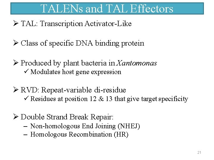 TALENs and TAL Effectors TAL: Transcription Activator-Like Class of specific DNA binding protein Produced