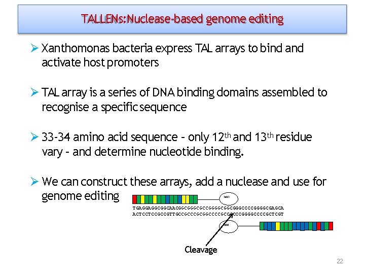 TALLENs: Nuclease‐based genome editing Xanthomonas bacteria express TAL arrays to bind activate host promoters