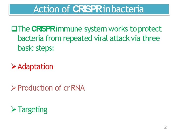 Action of CRISPRin bacteria The CRISPRimmune system works to protect bacteria from repeated viral