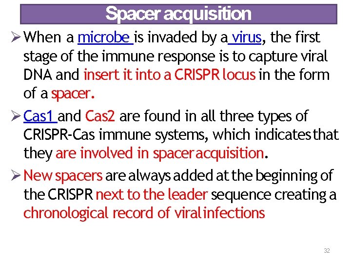 Spacer acquisition When a microbe is invaded by a virus, the first stage of