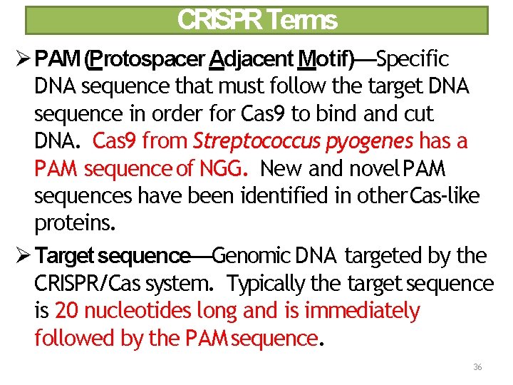 CRISPR Terms PAM (Protospacer Adjacent Motif)—Specific DNA sequence that must follow the target DNA