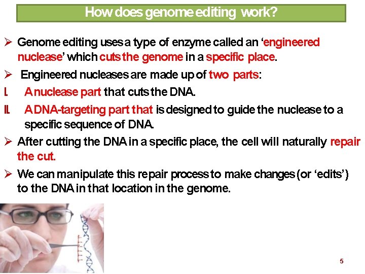 How does genome editing work? Genome editing uses a type of enzyme called an