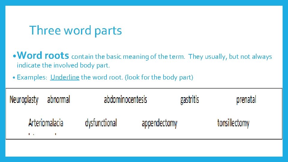 Three word parts • Word roots contain the basic meaning of the term. They