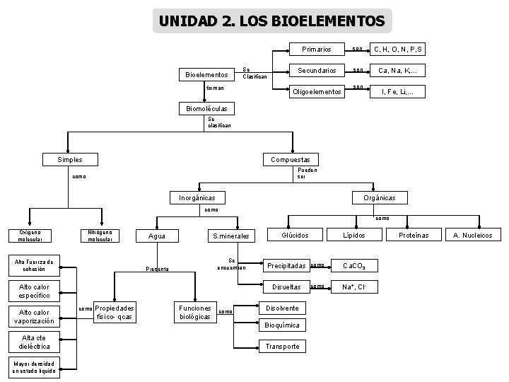 UNIDAD 2. LOS BIOELEMENTOS Bioelementos Se Clasifican forman Primarios son C, H, O, N,