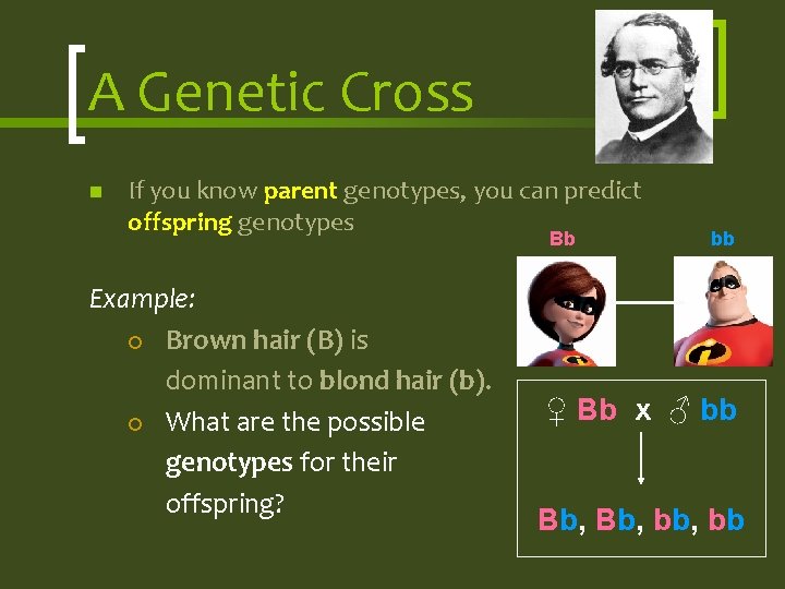 Probability Genetic Crosses Learning Target How do you