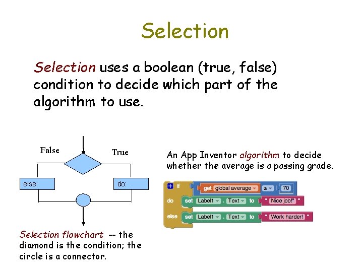 Selection uses a boolean (true, false) condition to decide which part of the algorithm