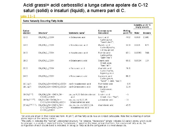 Acidi grassi= acidi carbossilici a lunga catena apolare da C-12 saturi (solidi) o insaturi