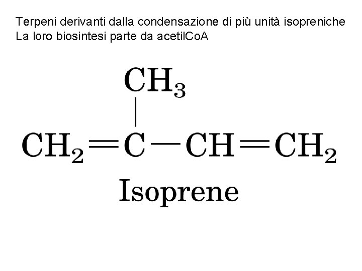 Terpeni derivanti dalla condensazione di più unità isopreniche La loro biosintesi parte da acetil.