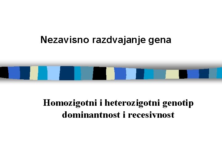 Nezavisno razdvajanje gena Homozigotni i heterozigotni genotip dominantnost i recesivnost 