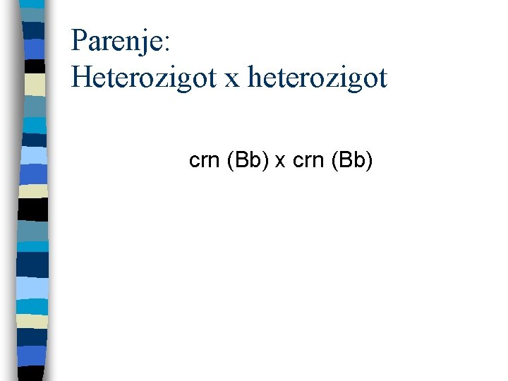 Parenje: Heterozigot x heterozigot crn (Bb) x crn (Bb) 