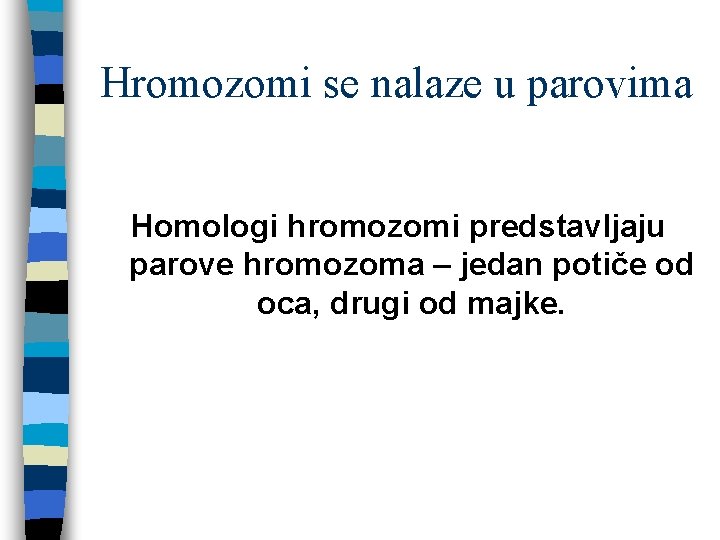 Hromozomi se nalaze u parovima Homologi hromozomi predstavljaju parove hromozoma – jedan potiče od