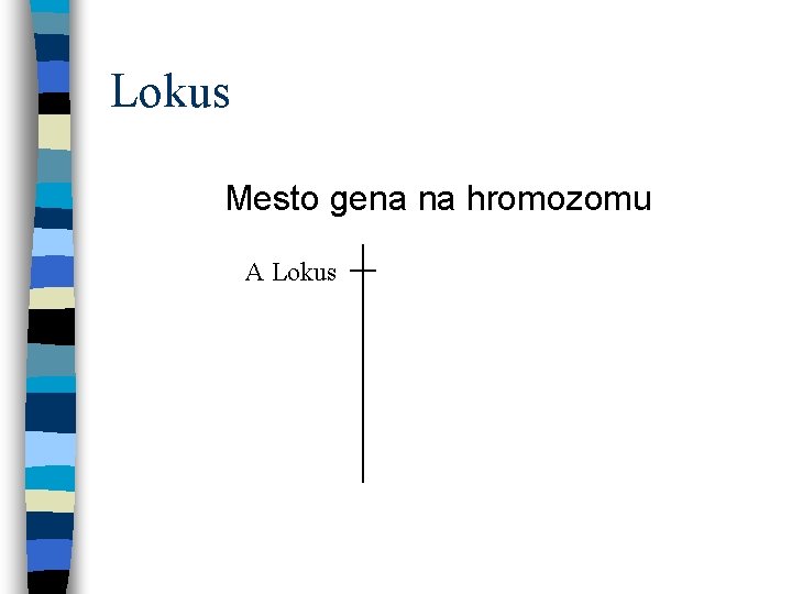 Lokus Mesto gena na hromozomu A Lokus 