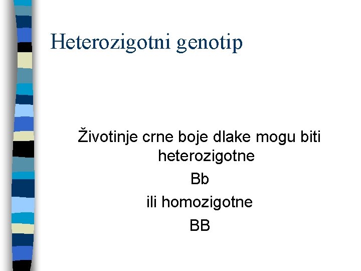 Heterozigotni genotip Životinje crne boje dlake mogu biti heterozigotne Bb ili homozigotne BB 