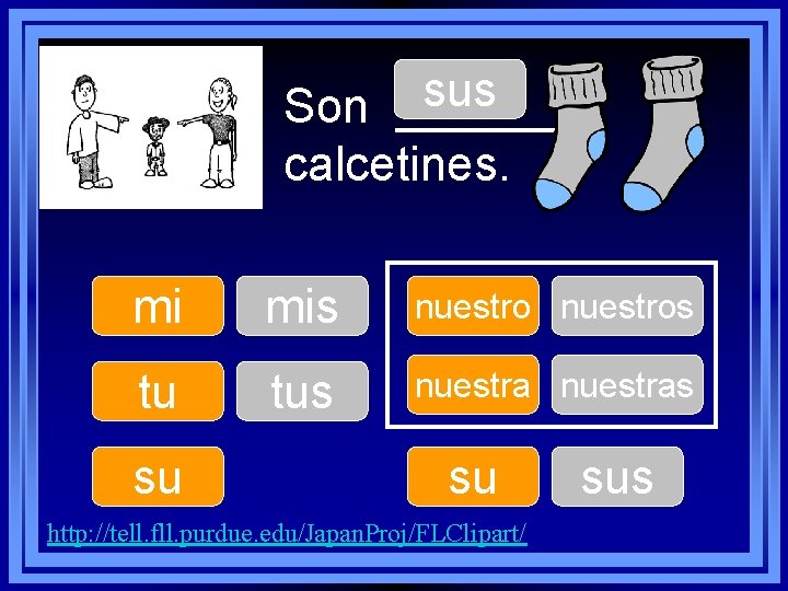 sus Son ______ calcetines. mi mis nuestros tu tus nuestras su su http: //tell.