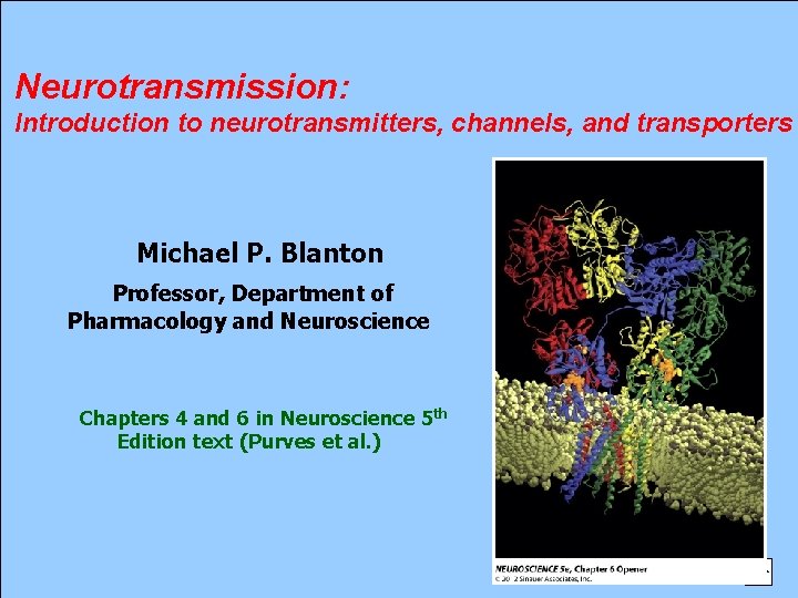 Neurotransmission: Introduction to neurotransmitters, channels, and transporters Michael P. Blanton Professor, Department of Pharmacology