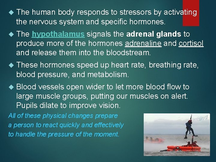  The human body responds to stressors by activating the nervous system and specific