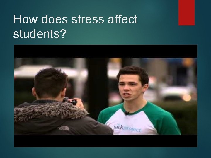 How does stress affect students? 
