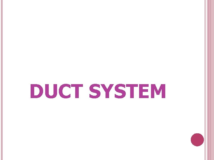 DUCT SYSTEM 